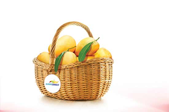 The-basket-of-Mangoes