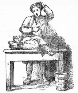 the hen that laid the golden egg