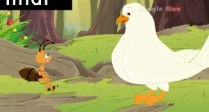 the bee and the dove