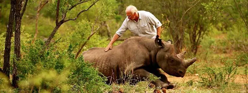 essay-on-save-wildlife-150-words